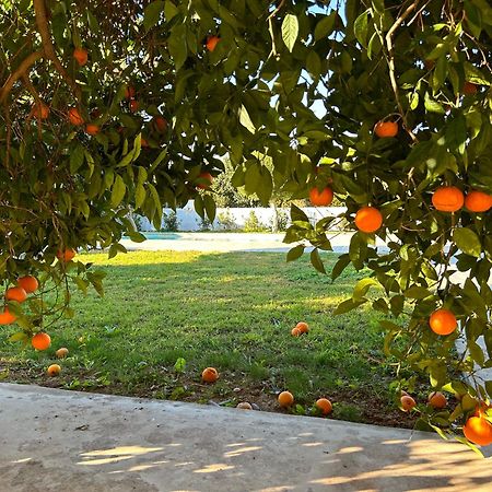 The Orange Garden Apartment Nauplion Exterior foto